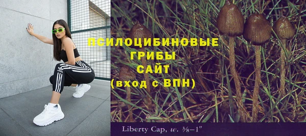 прущая мука Белоозёрский