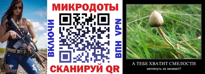 Псилоцибиновые грибы MAGIC MUSHROOMS  купить наркотики сайты  Харабали 
